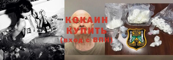 мдпв Богородицк