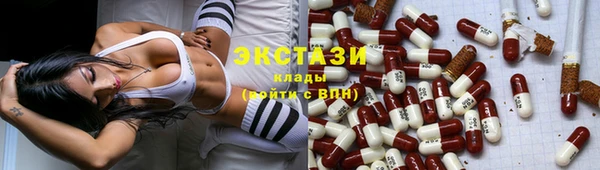 мдпв Богородицк