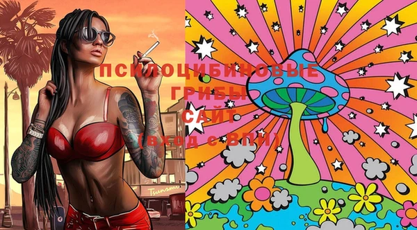 прущие крисы Бугульма