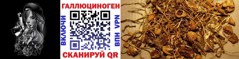 Галлюциногенные грибы мухоморы  Бийск 